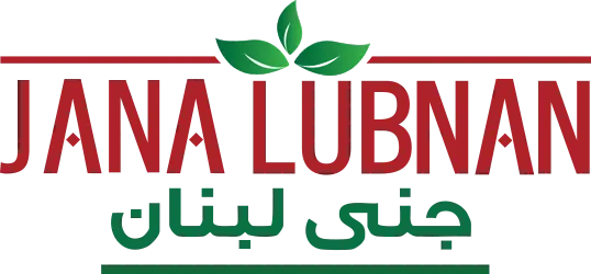 My Website